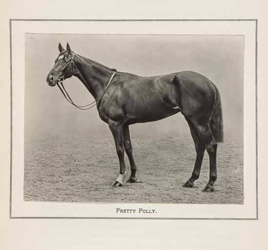 Appraisal: Loder Major Eustace - Eyrefield Stud - mounted photographs mostly