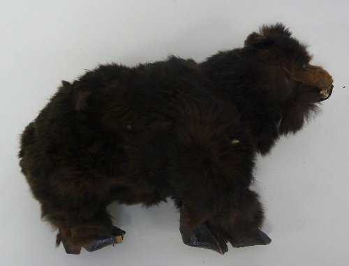 Appraisal: A fur covered clockwork bear circa the winder to one