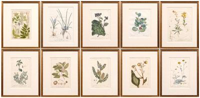 Appraisal: Ten botanical hand colored engravings prints six by P Miller