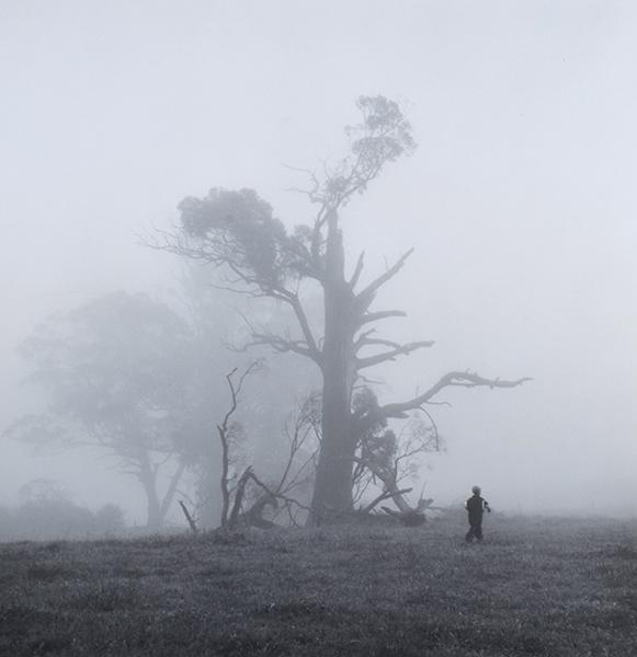 Appraisal: REX DUPAIN born Boy and Mist silver gelatin print signed