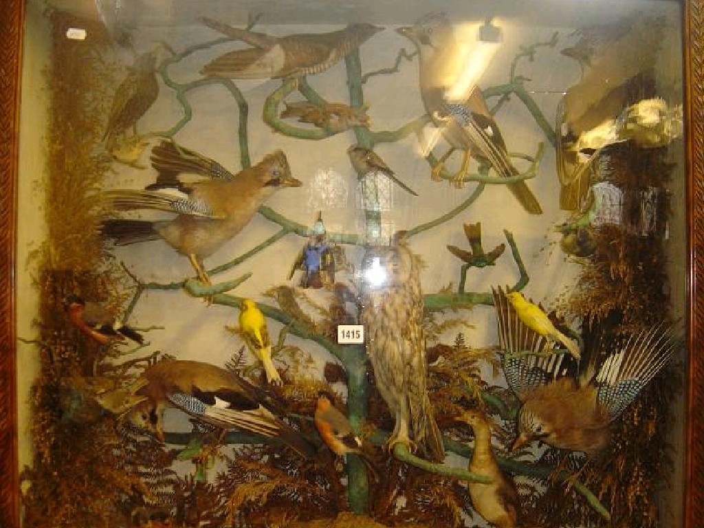 Appraisal: A display case with stuffed and mounted birds including domestic