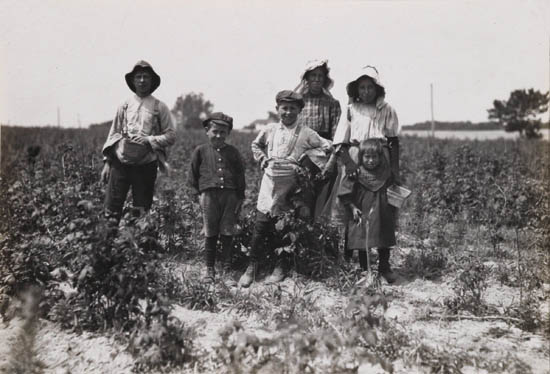 Appraisal: HINE LEWIS W - Untitled field hands picking berries Silver