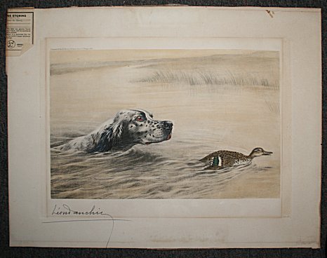 Appraisal: DANCHIN Leon French - ''Setter and Teal'' Hand Colored Engraving