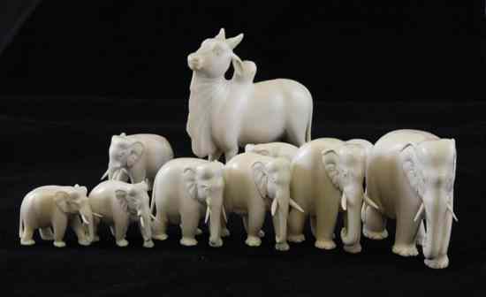 Appraisal: Nine Indian ivory figures of an elephant and an oxen