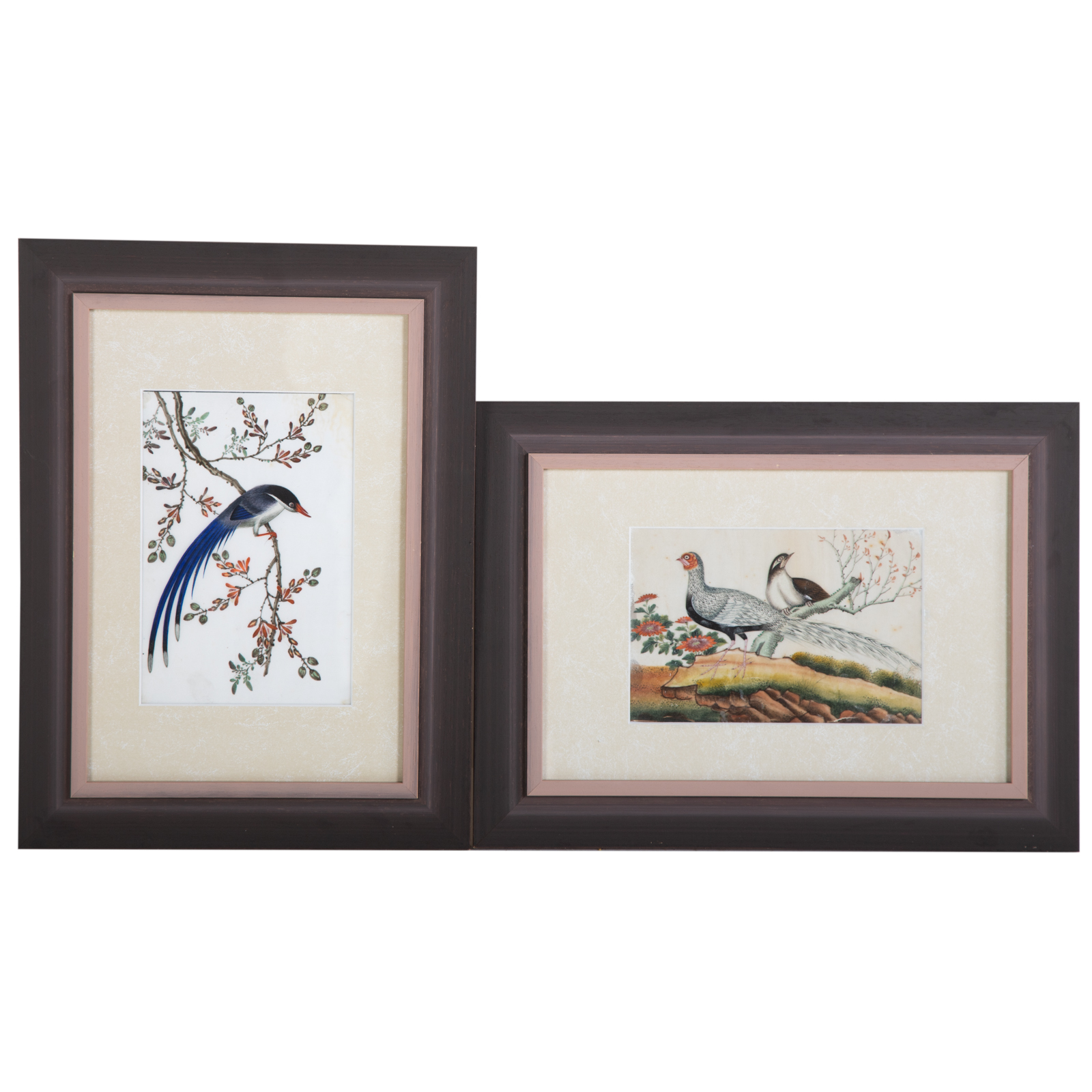 Appraisal: A PAIR OF CHINESE EXPORT EXOTIC BIRD GOUACHES Circa -