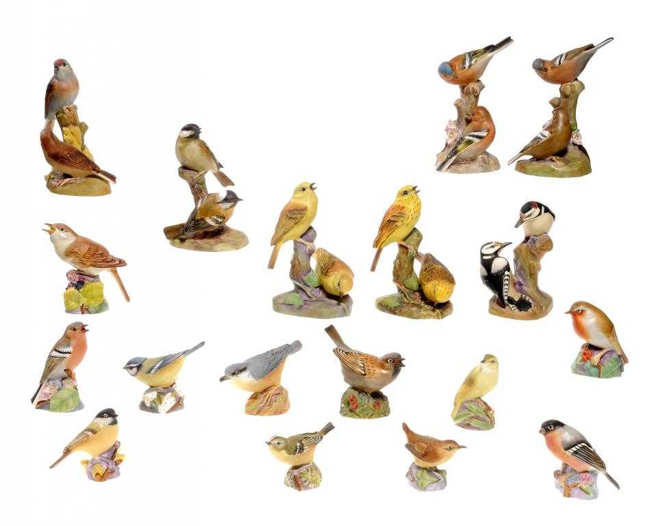 Appraisal: EIGHTEEN ROYAL WORCESTER MODELS OF ENGLISH BIRDS modelled by Eva