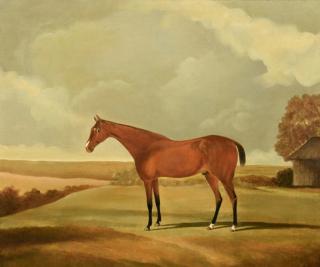 Appraisal: Attr Harry Hall large portrait of horse English School large