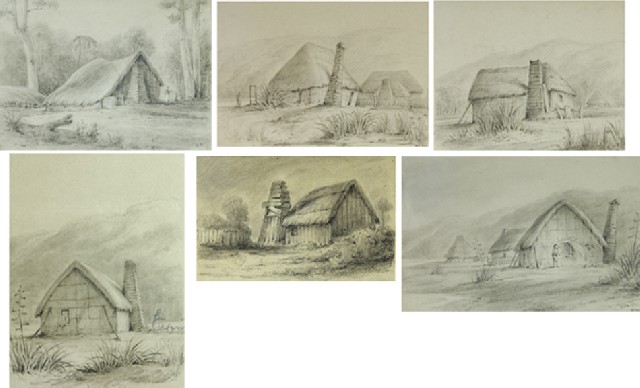 Appraisal: William Swainson British New Zealander - Suite of six drawings