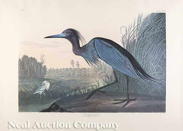 Appraisal: John James Audubon American - Blue Heron Plate from Birds