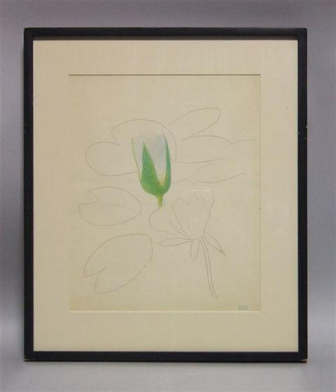 Appraisal: JOSEPH STELLA AMERICAN - FLOWER Silverpoint and colored pencil on