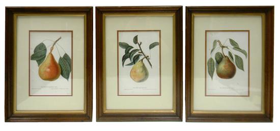 Appraisal: William Sharp British - three chromolithographs depicting pears from Charles