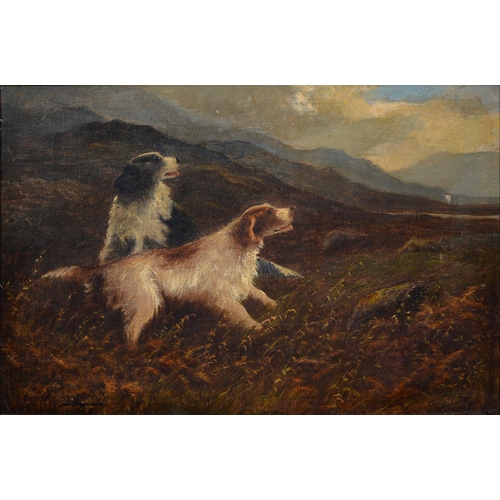 Appraisal: Robert Cleminson th th c - Gun Dogs signed oil