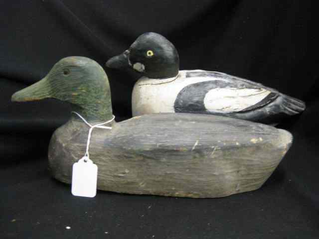 Appraisal: Carved Painted Wood Decoys a mallard a golden eye ''