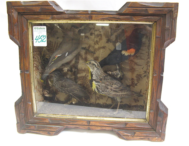 Appraisal: AMERICAN CARVED SHADOW BOX FRAME with taxidermist mounted Oregon birds