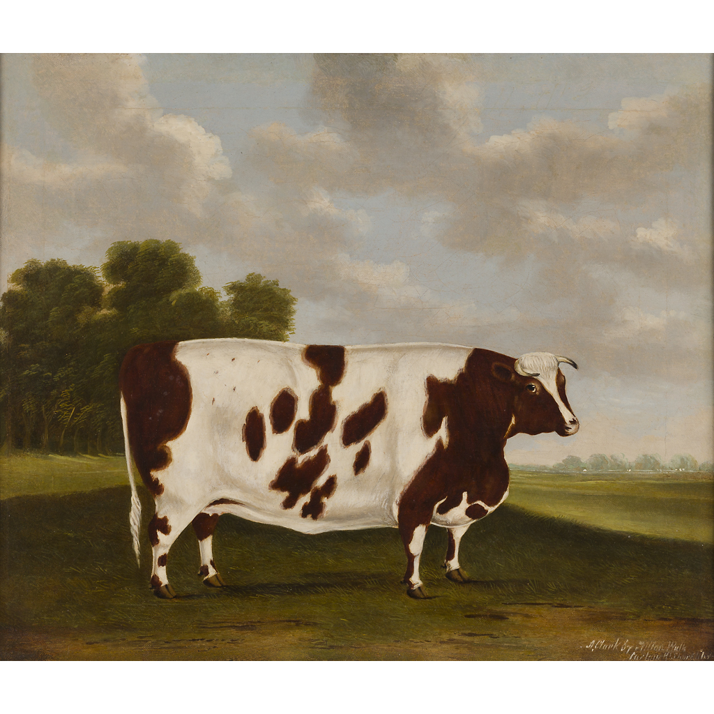 Appraisal: FOLLOWER OF THOMAS WEAVER BRITISH - PIGEON THE PRIZE COW