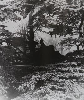 Appraisal: Photograph Bill Brandt Bill Brandt British - Chiswick House Gardens