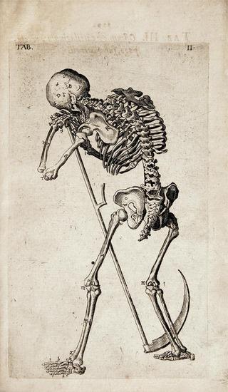 Appraisal: BAUHINUS Caspar - Theatrum anatomicum Novis figuris aeneis illustratum et