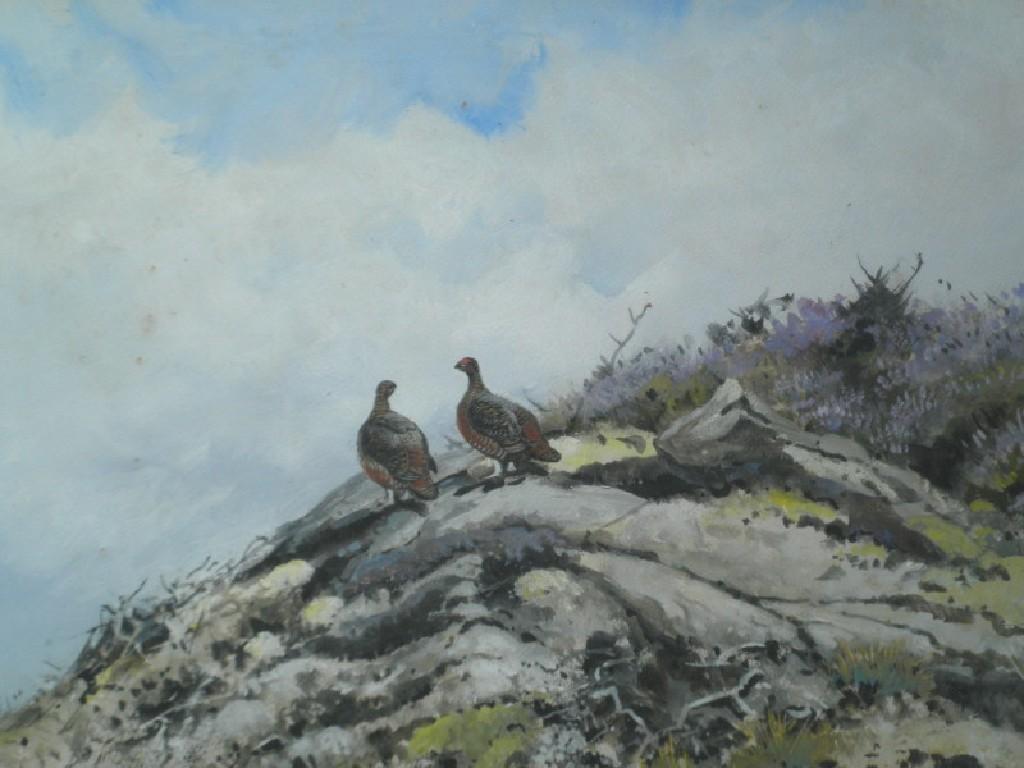 Appraisal: George Edward Lodge - Grouse standing on a rock watercolour