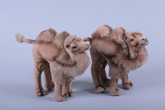 Appraisal: TWO STEIFF COSY CAMELS Circa s One with paper chest