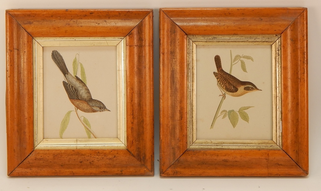 Appraisal: PR FRANCIS O MORRIS NATURALIST COLORED BIRD PRINTS United Kingdom