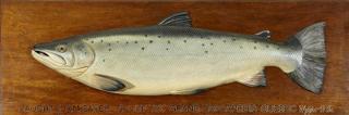 Appraisal: Stephen R Smith b Atlantic Salmon Stephen R Smith b