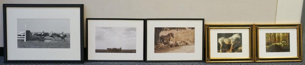 Appraisal: Group of Five Equestrian Photographs Each Framed