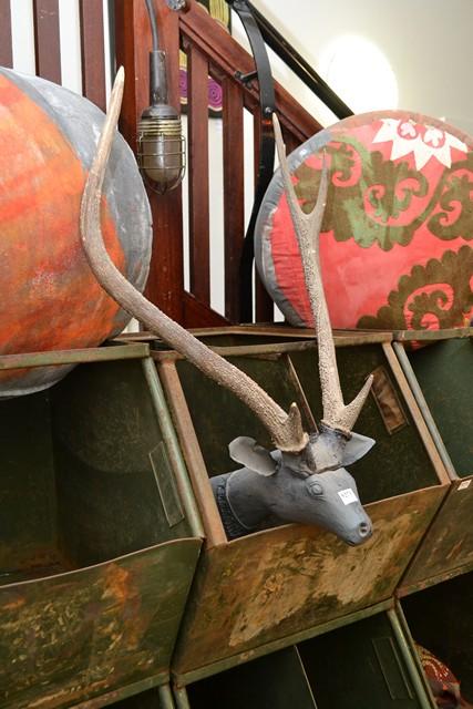 Appraisal: A CARVED DEER HEAD MOUNTED WITH ANTILERS A CARVED DEER