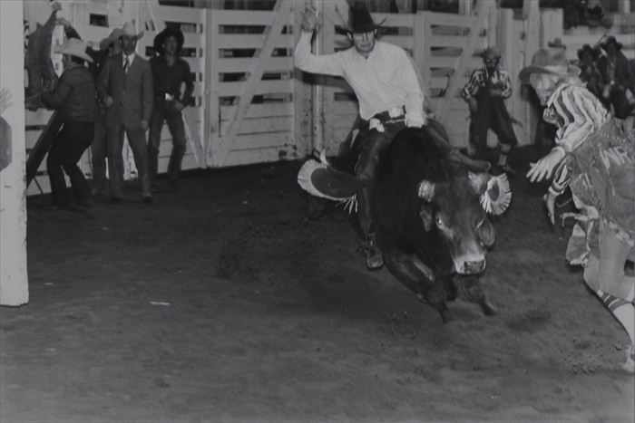 Appraisal: GARRY WINOGRAND - BUCKING BRONCOS Gelatin silver print x in