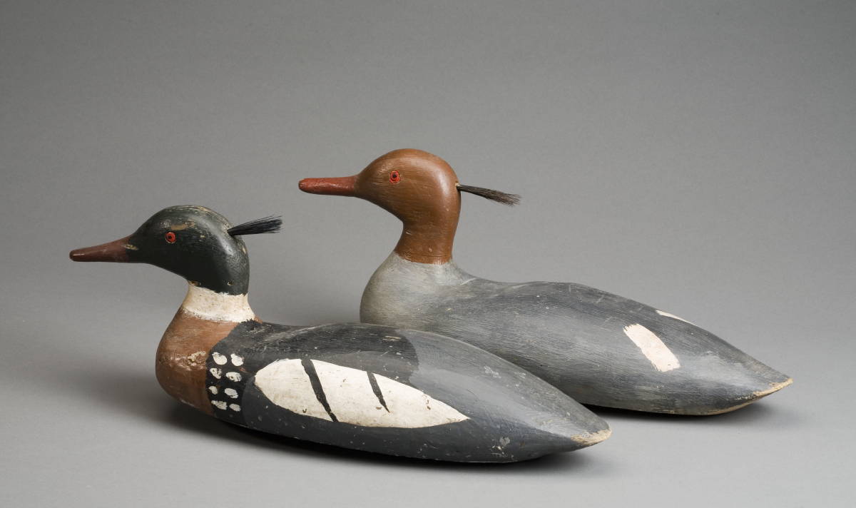 Appraisal: TWO CARVED AND PAINTED RED BREASTED MERGANSER DECOYS BY C