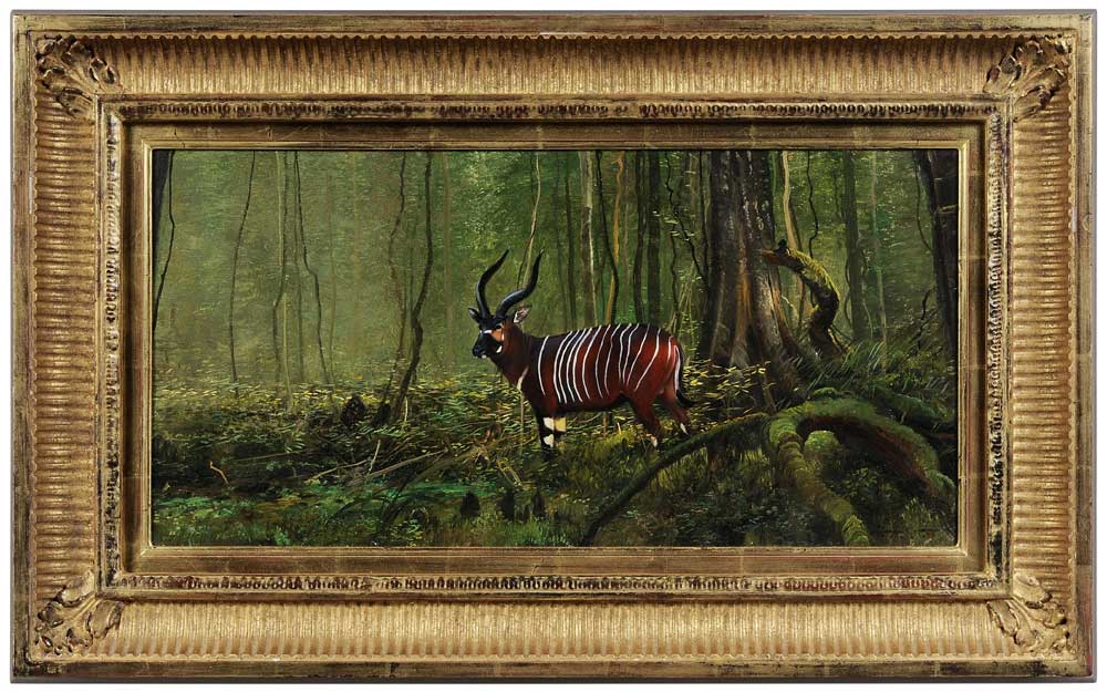 Appraisal: Michael Coleman Utah born Bongo in the Jungle signed lower