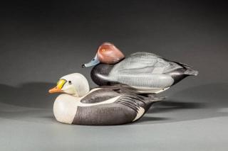 Appraisal: Redhead and King Eider Edward M Koch b Phoenix AZc