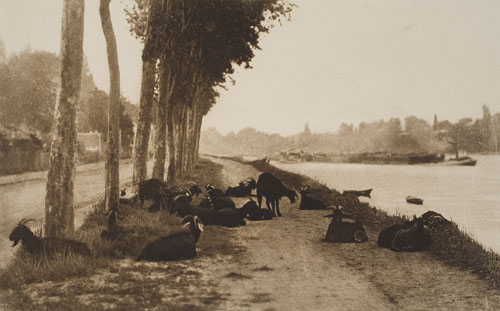 Appraisal: STIEGLITZ ALFRED - A Decorative Panel Goats Along the Seine