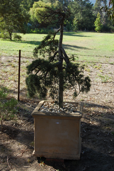 Appraisal: A GROUP OF FOUR CONCRETE PLANTERS