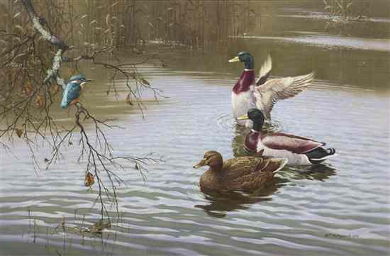 Appraisal: William Hollywood British - Mallard Ducks and Kingfisher oil on