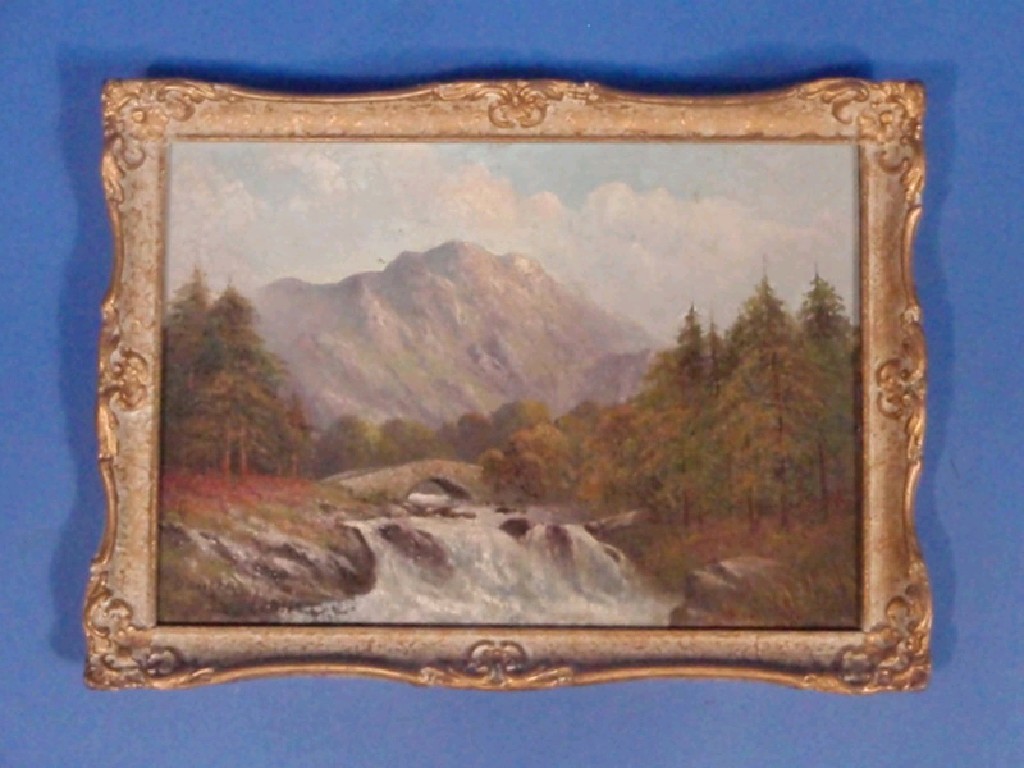 Appraisal: Douglas Falconer Near Grasmere Lake Ostrie oil on board cm