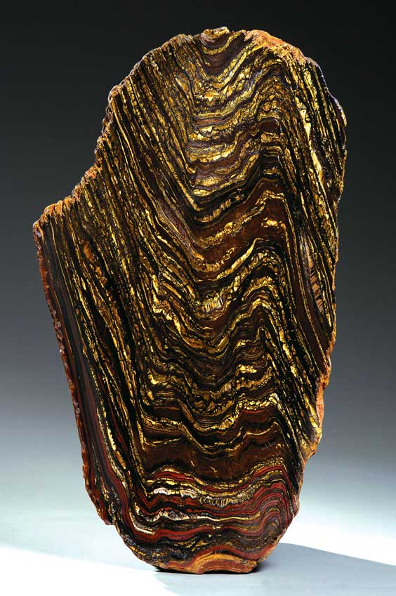 Appraisal: TIGER IRON -- POLISHED SLAB Paleoproterozoic Ord Ranges Port Hedland