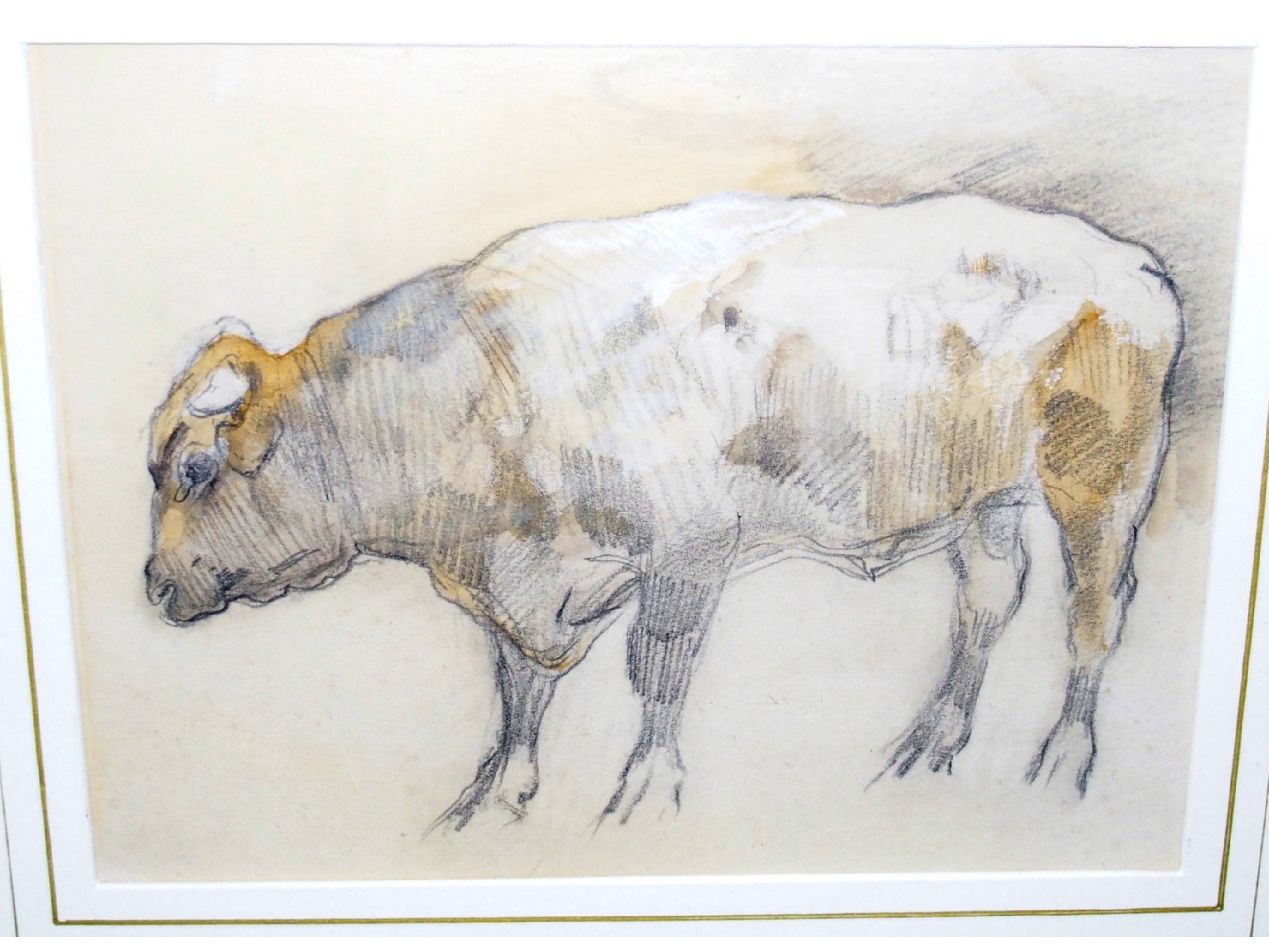 Appraisal: SIR GEORGE PIRIE Study of a bull pencil and watercolour