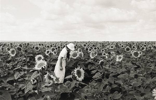 Appraisal: Edouard Boubat French - Ile de France Gelatin silver printed