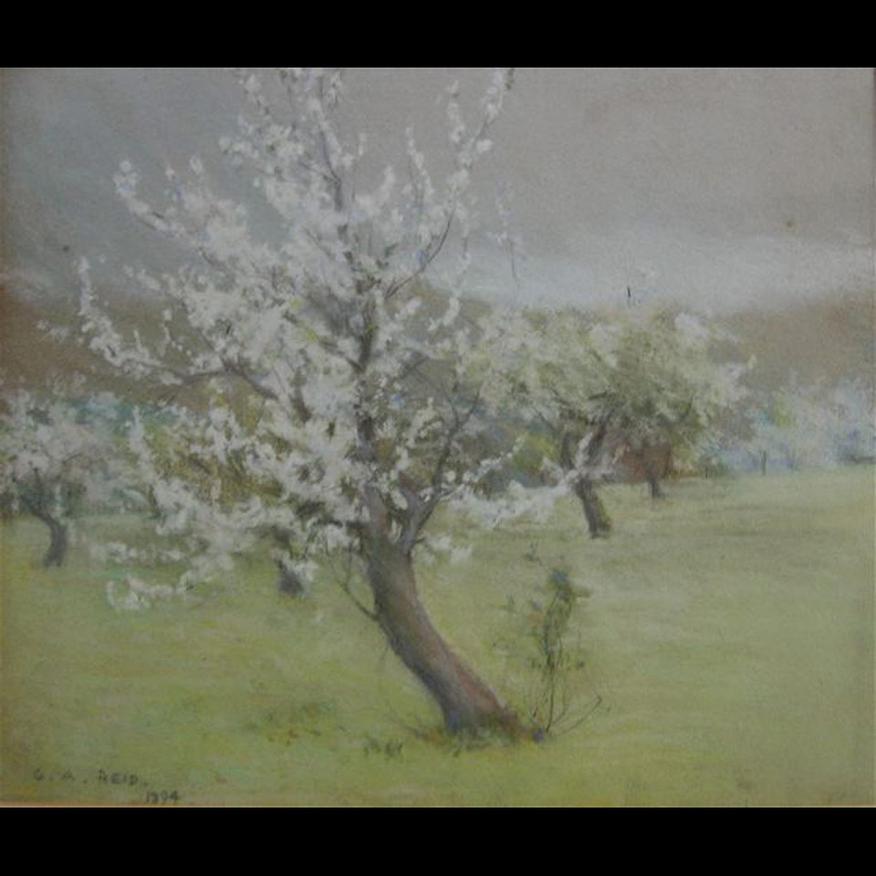 Appraisal: GEORGE AGNEW REID - CANADIAN BLOSSOM TREES PASTEL DATED x