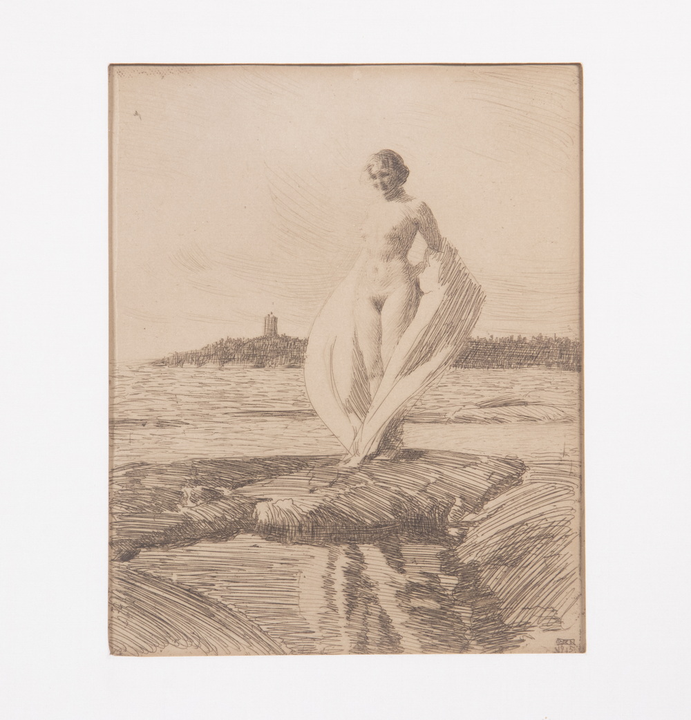 Appraisal: ANDERS ZORN IL SWEDEN - The Swan etching on tanned