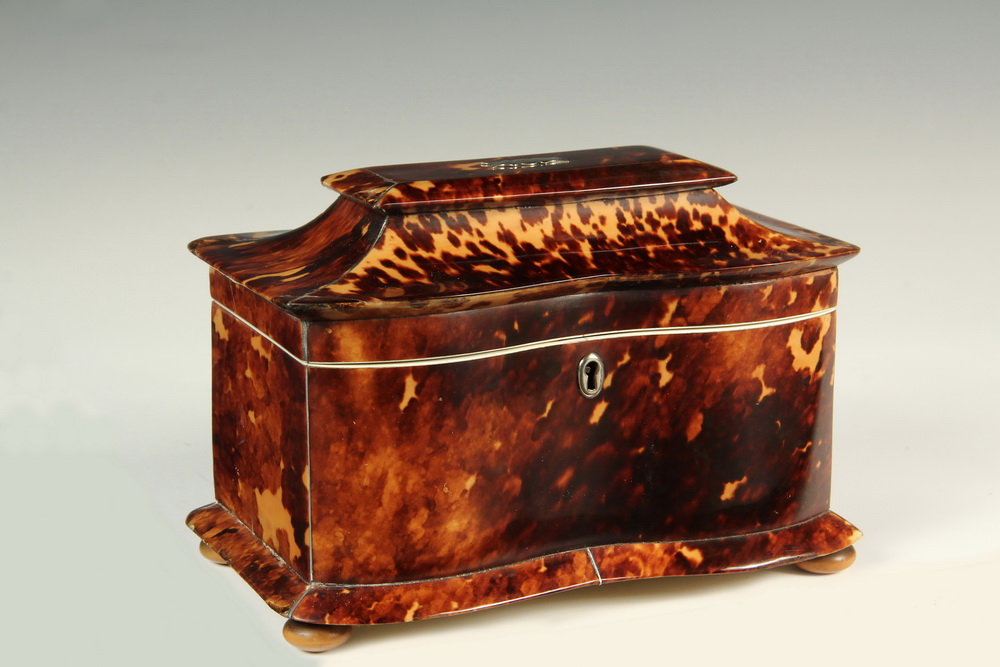 Appraisal: TEA CADDY - th c Tortoiseshell Serpentine Front Two-Chamber Tea