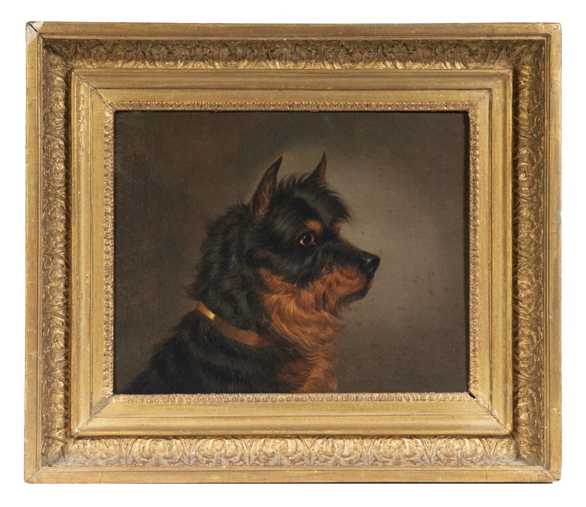 Appraisal: UNSIGNED AMERICAN PAINTING OF A DOG Bust Portrait of a