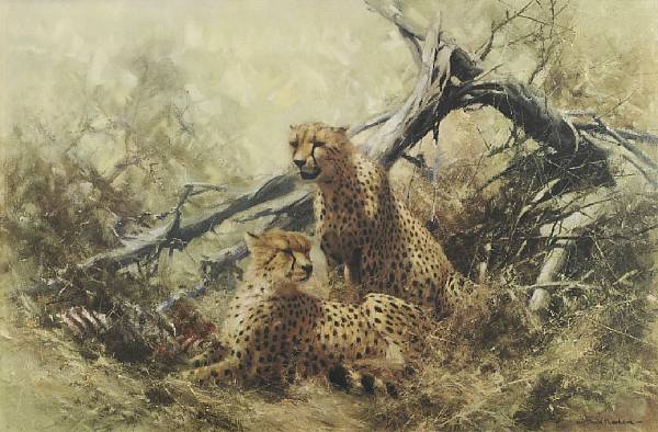 Appraisal: After David Shepherd O B E Cheetahs Lions Muscovy Ducks