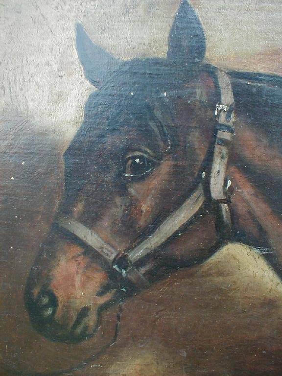 Appraisal: thC School Head portrait of a horse oil on canvas