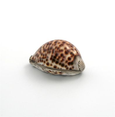 Appraisal: An silver mounted cowrie shell snuff box unmarked possibly Scottish