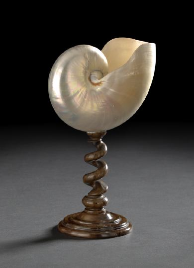 Appraisal: French Mahogany-Mounted Nautilus Shell third quarter th century the satin-polished