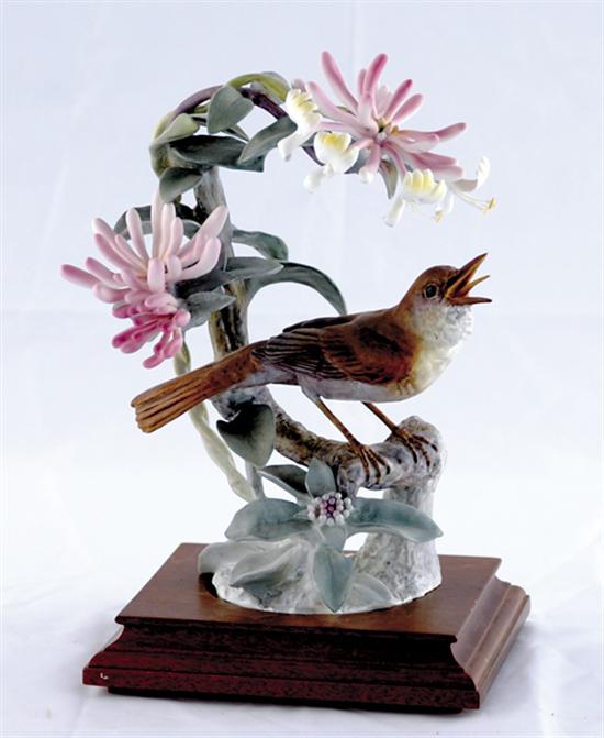 Appraisal: Dorothy Doughty porcelain bird circa Nightingale Daulias Luscinia and Honeysuckle