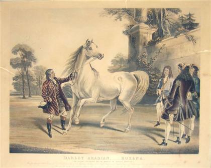 Appraisal: pieces Hand-Colored English Thoroughbred Race Horse Engravings Mackrell J S