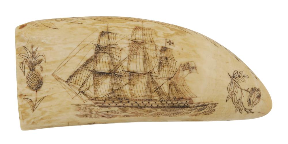 Appraisal: SCRIMSHAW WHALE'S TOOTH WITH TROPICAL MOTIFS TH CENTURY LENGTH SCRIMSHAW