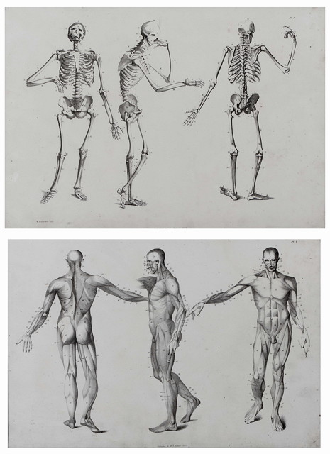 Appraisal: A PAIR OF TH CENTURY MEDICAL ENGRAVINGS by W Robertson